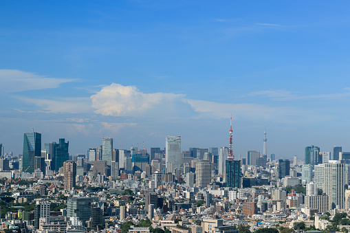 Vista de la ciudad de Tokio photo