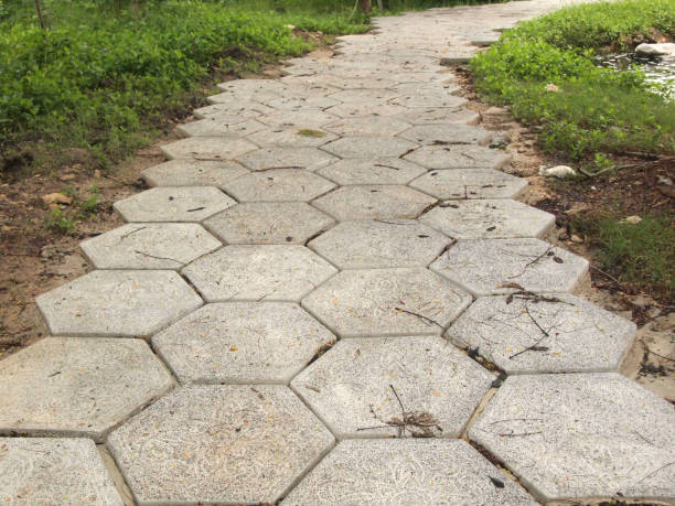 istock The Stone block walk path in the park with green grass background 1037870454