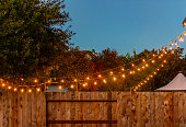 Backyard party lights