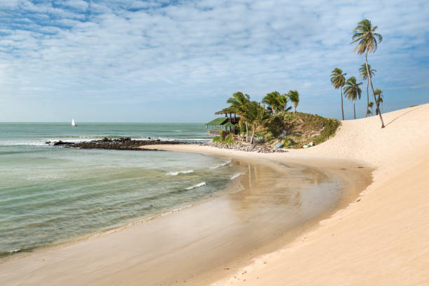 praia genipabu jangada i drzewa kokosowe natal rn - natal zdjęcia i obrazy z banku zdjęć
