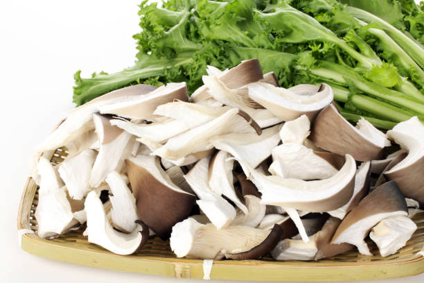 Fresh puntarelle chicory and Oyster mushrooms on a white background Fresh puntarelle chicory and Oyster mushrooms on a white background puntarelle stock pictures, royalty-free photos & images