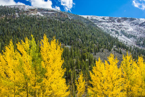 istock Rocky Mountain Autumn 1037913580