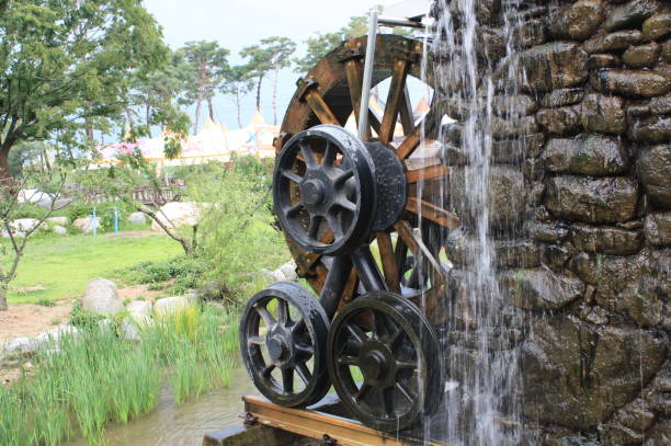 istock Water retbanga on a rainy day 1037918022