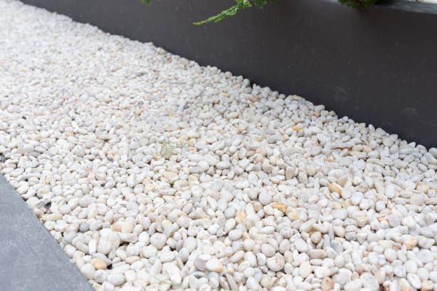 istock focus at modern white pebbles  decoration in garden. 1037922136