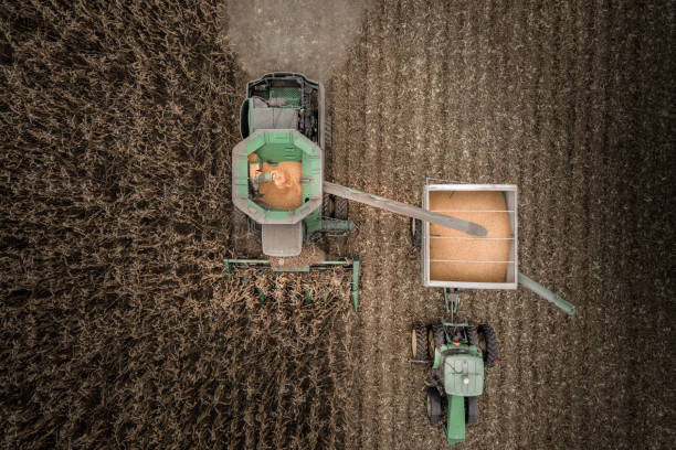 On the Move Looking down on the combine and tractor moving through the corn field using the drone to look down. corn crop stock pictures, royalty-free photos & images