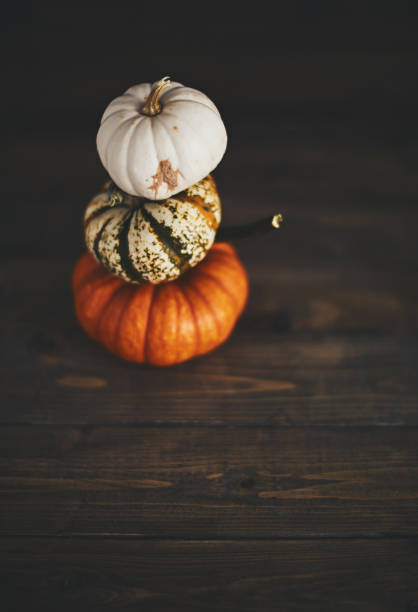 istock Artistic still life fall background with pumpkins balancing 1037931004