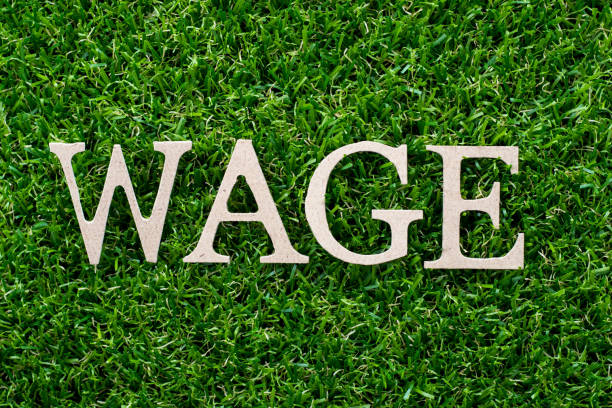istock Wood letter in word wage on artificial green grass background 1037935106