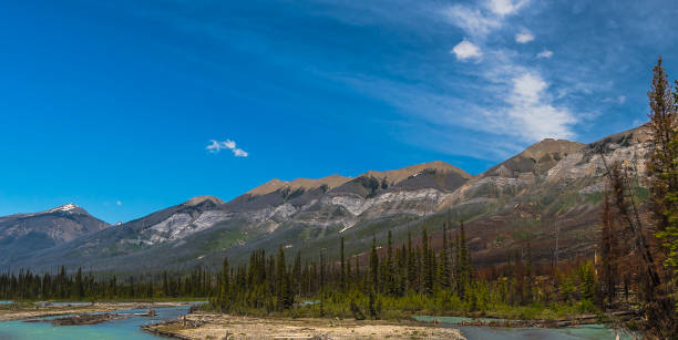 istock Close-up of Continental Range along Kootenay River 1037951966