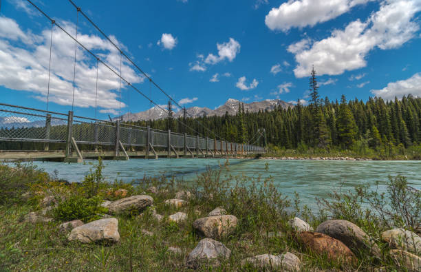 istock Suspension Bridge at Dog Lake 1037951968