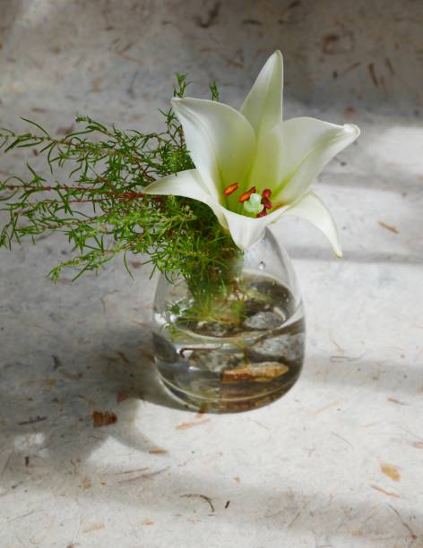 istock Lily flower arrangement 1037954634