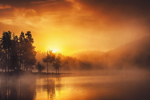 Morning fog on the lake, sunrise shot. Beautiful natural background.