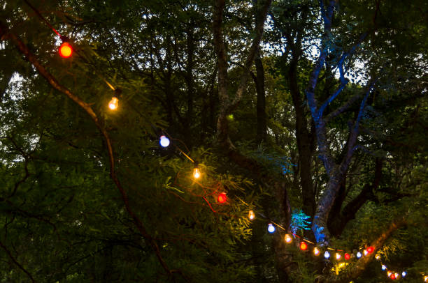 istock Dazzling displays of light 1037969612