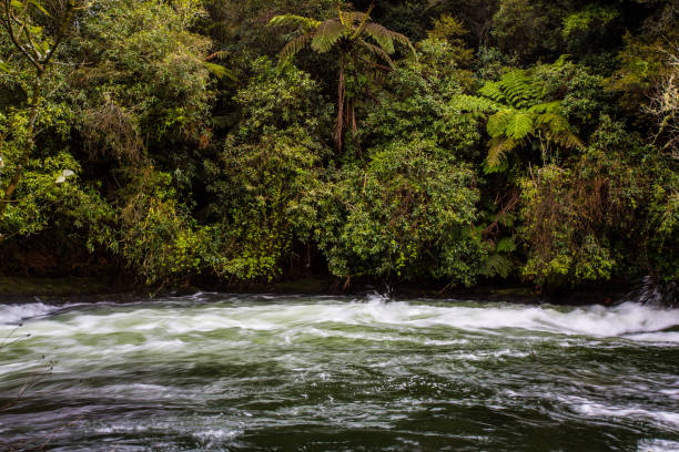 The Kaituna River is commercially rafted most days