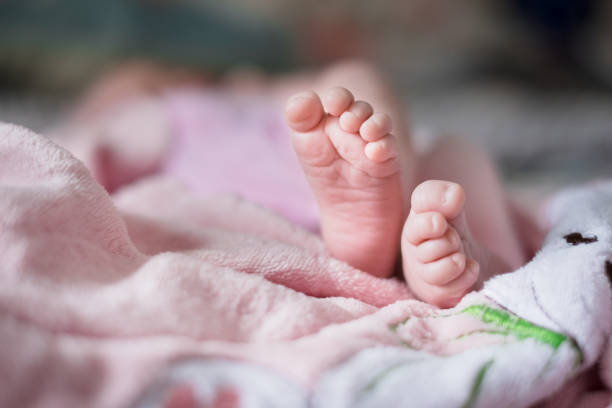 istock Small legs of newborn baby. 1037983548