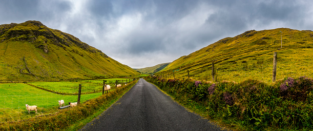 typical landscape in Ireland