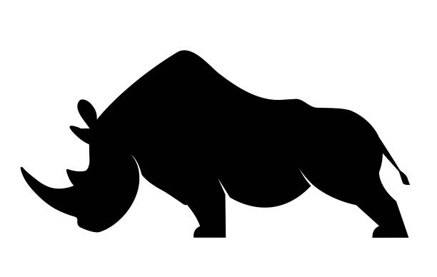 Silhouette of a rhinoceros Silhouette of a rhino in a threatening position on a white background rhinoceros stock illustrations