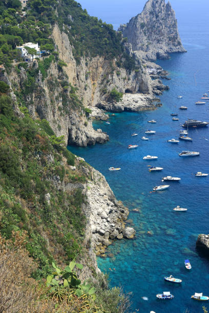 istock Rocky coastline of Capri 1038042916