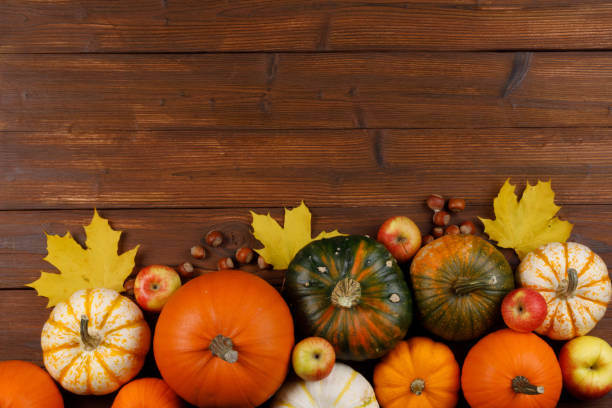 istock Autumn harvest on wooden table 1038045186