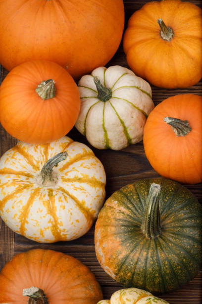 istock Pumpkins on wooden background 1038045258