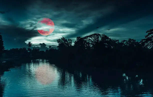 Beautiful landscape of night sky and red moon or blood moon behind partial cloudy above silhouettes of trees at riverside. Serenity nature background, outdoor at nighttime. The moon taken with my camera.