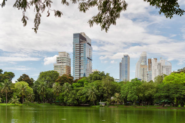 istock Lake in Lumpini Park, Bangkok, Thailand 1038059464