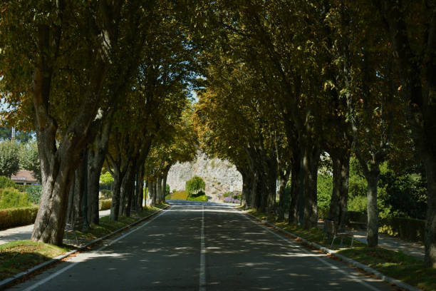 road that leads to the entrance of the castro in vigo.