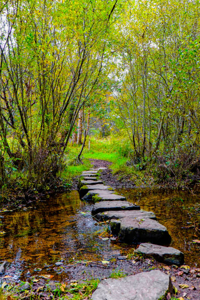 istock Newtonmore stepping stones 1038081910