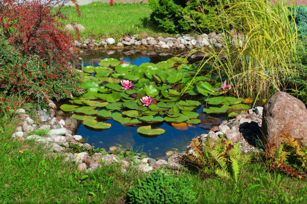 istock Beautiful garden and pond 1038088876