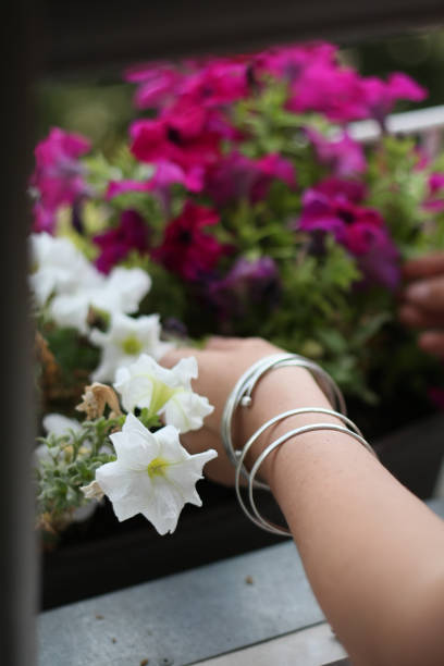 istock Woman hands gardening  flowers 1038099774