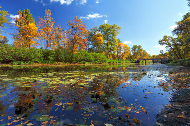 istock Colorful autumn trees near the river 1038105642