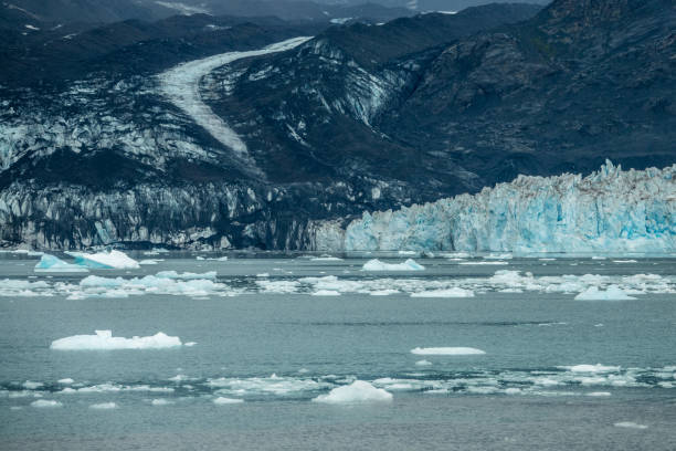 istock Icebergs near Columbia glacier under the clouds 1038113196