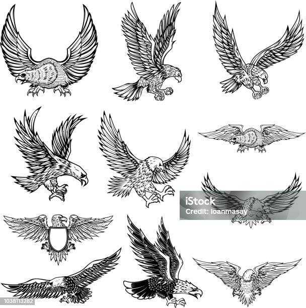Illustration Of Flying Eagle Isolated On White Background Stock Illustration - Download Image Now