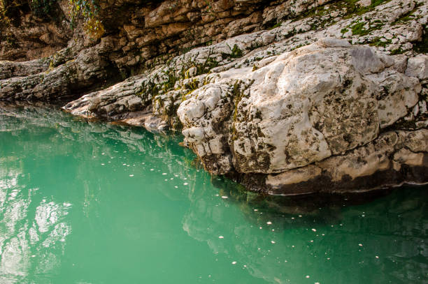 istock Rock covered with moss on the green mountain river bank 1038117496