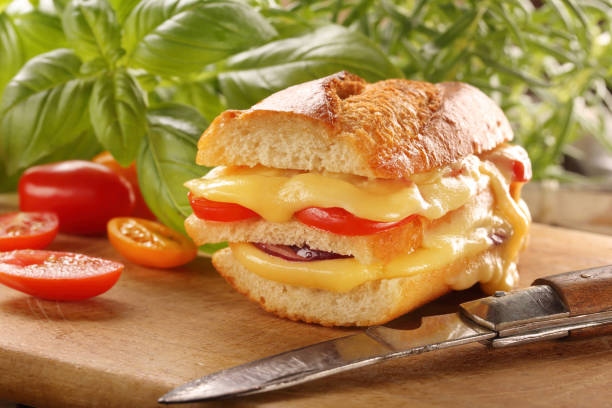 Grilled cheese sandwich with tomato and onion