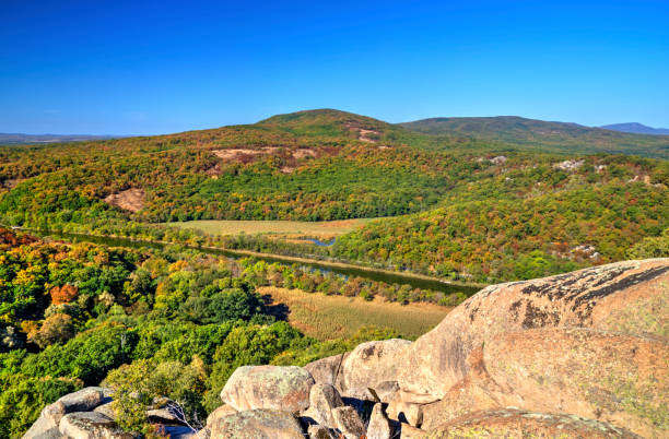 istock Landscape with autumn forest and sea 1038142774