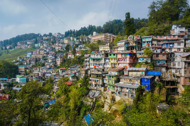 darjeeling, indie - darjeeling zdjęcia i obrazy z banku zdjęć
