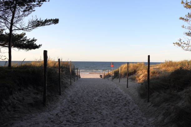 istock Sandy footpath to the beach and open sea with trees and beach grass in September, just before sunset 1038152616