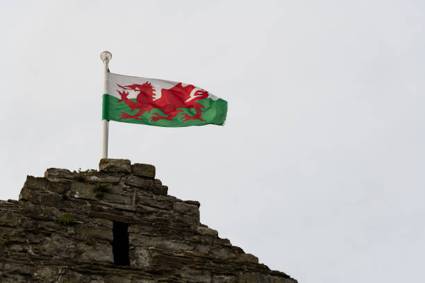 istock Welsh flag blowing in the wind 1038166962