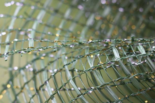 istock closeup green ribbon net for decoration gift background 1038169812