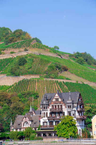 istock Germany Rhine Village 1038176294