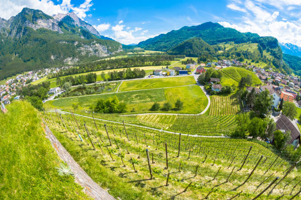 istock A view from Balzers in Liechtenstein 1038177280