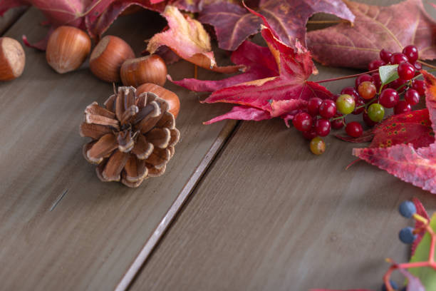 istock Leaves, pine cones, berries and hazelnuts on a wooden table 1038177286