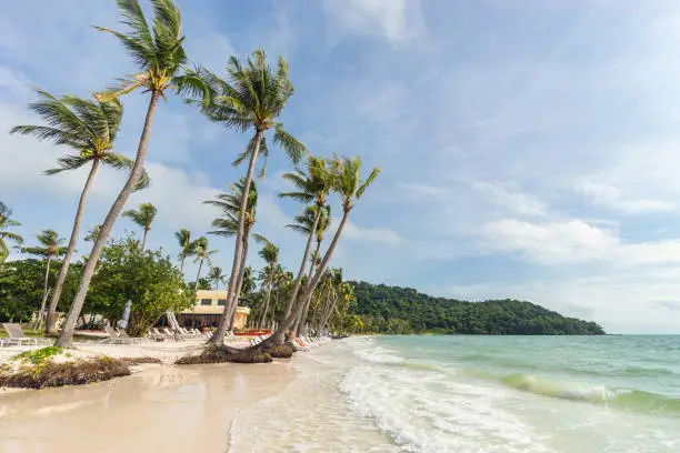 Tropical palms on beautiful Bai Sao beach in Vietnam on Phu Quoc island