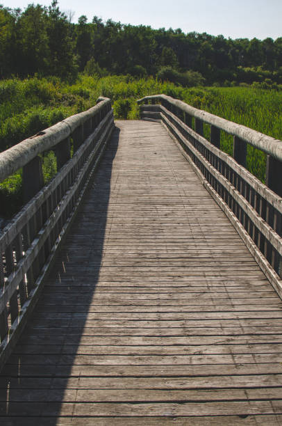 Scene at Lake Audy at Riding Mountian National Park, Manitoba Scene at Lake Audy at Riding Mountian National Park, Manitoba riding mountain national park stock pictures, royalty-free photos & images