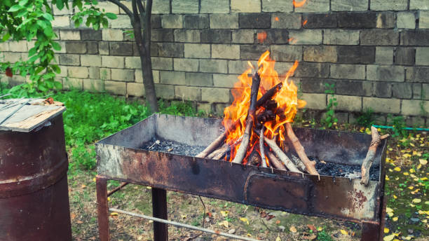 istock Firewood is burning in the brazier, picnic preparation 1038198302