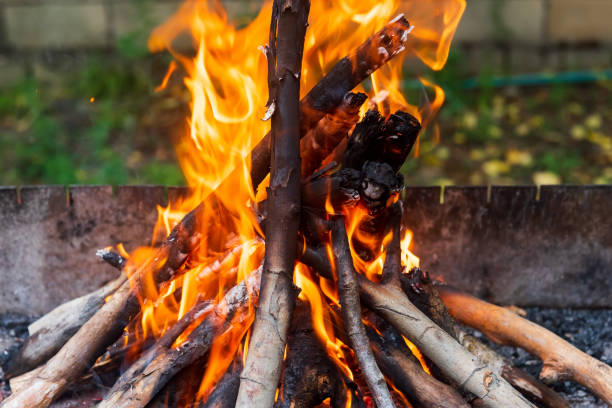 istock Firewood is burning in the brazier, picnic preparation 1038198360