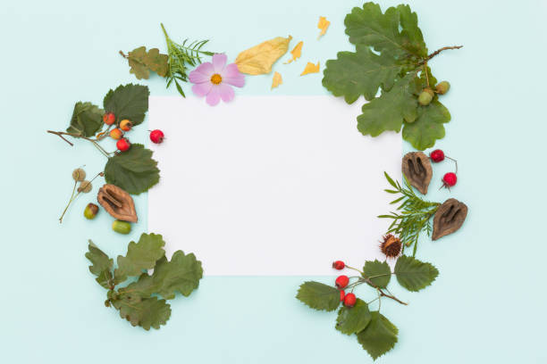 istock Top view on  different plants, nuts and flowers on turquoise wooden background.  Round frame or wreath. autumn concept 1038209424