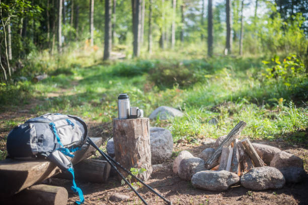 istock Holiday destination in a forest trip 1038217184