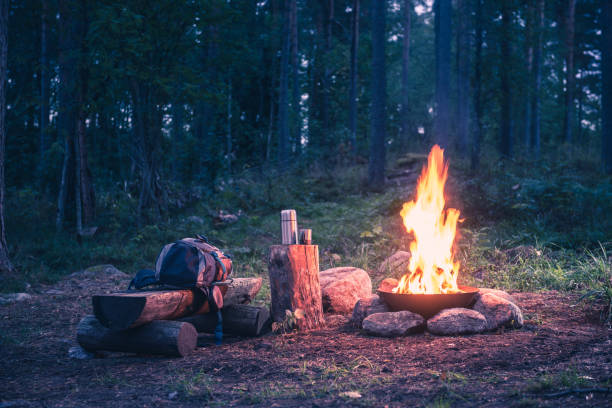 istock Holiday destination in a forest trip by the fire 1038217292