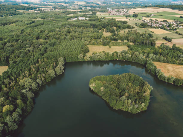 istock High Angle View Of Lake Amidst Trees 1038222858